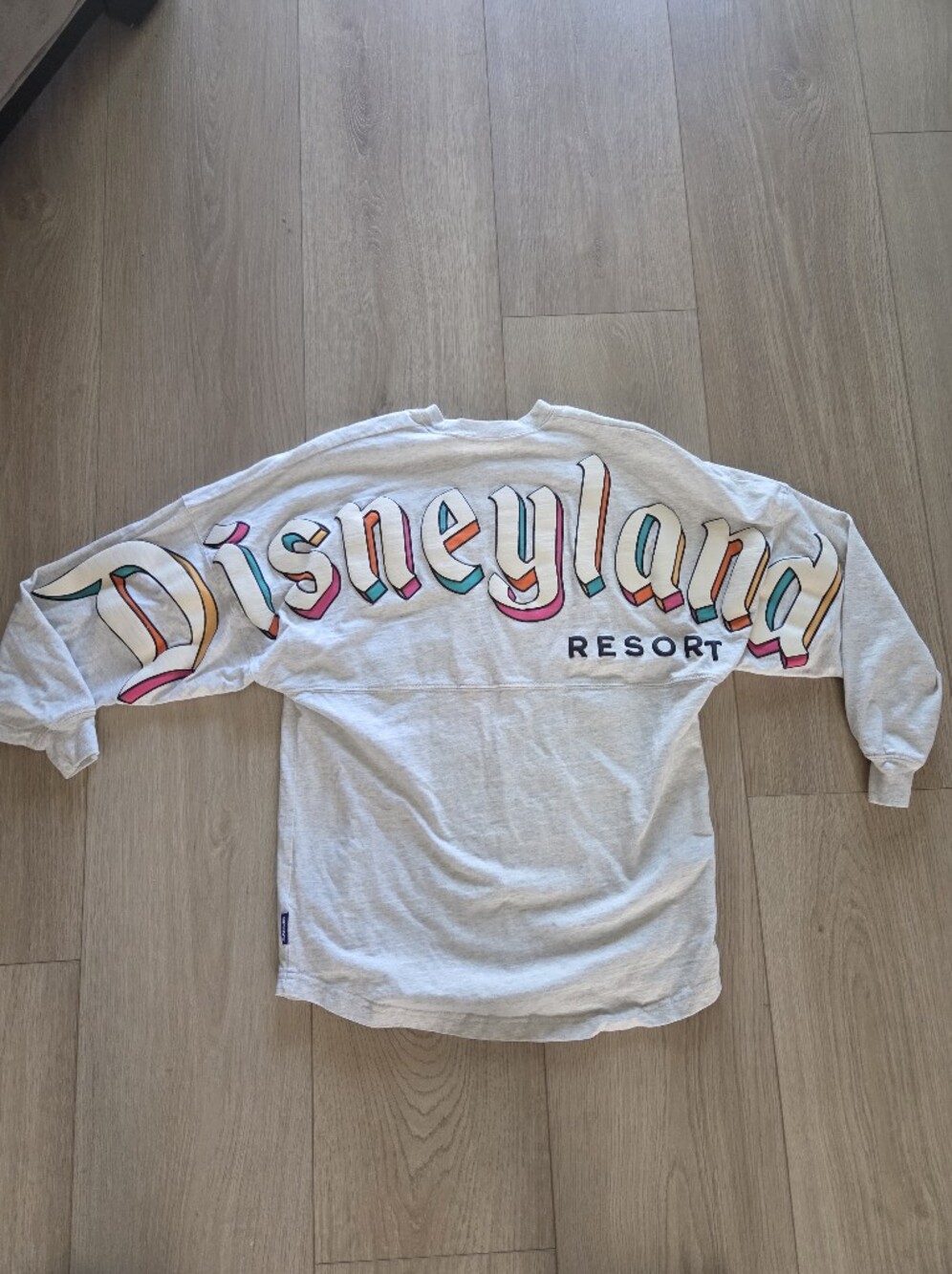 Disneyland Spirit Jersey Long Sleeve Colorblock